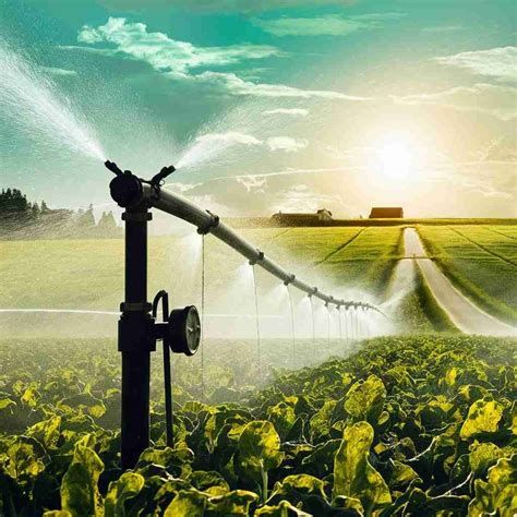 تمديد شبكات الري بالدمام