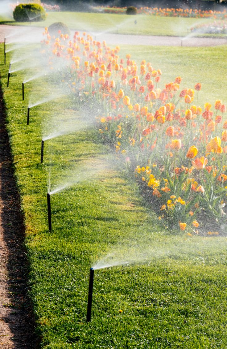 تمديد شبكات الري بالدمام