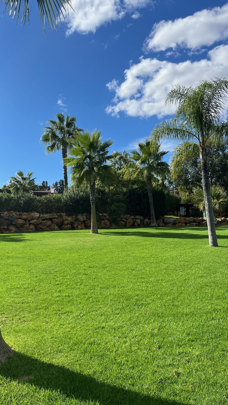 شركة تنسيق حدائق بالدمام