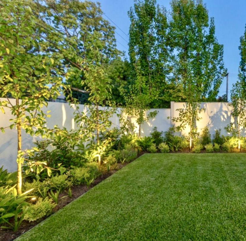 تركيب عشب طبيعي بالدمام