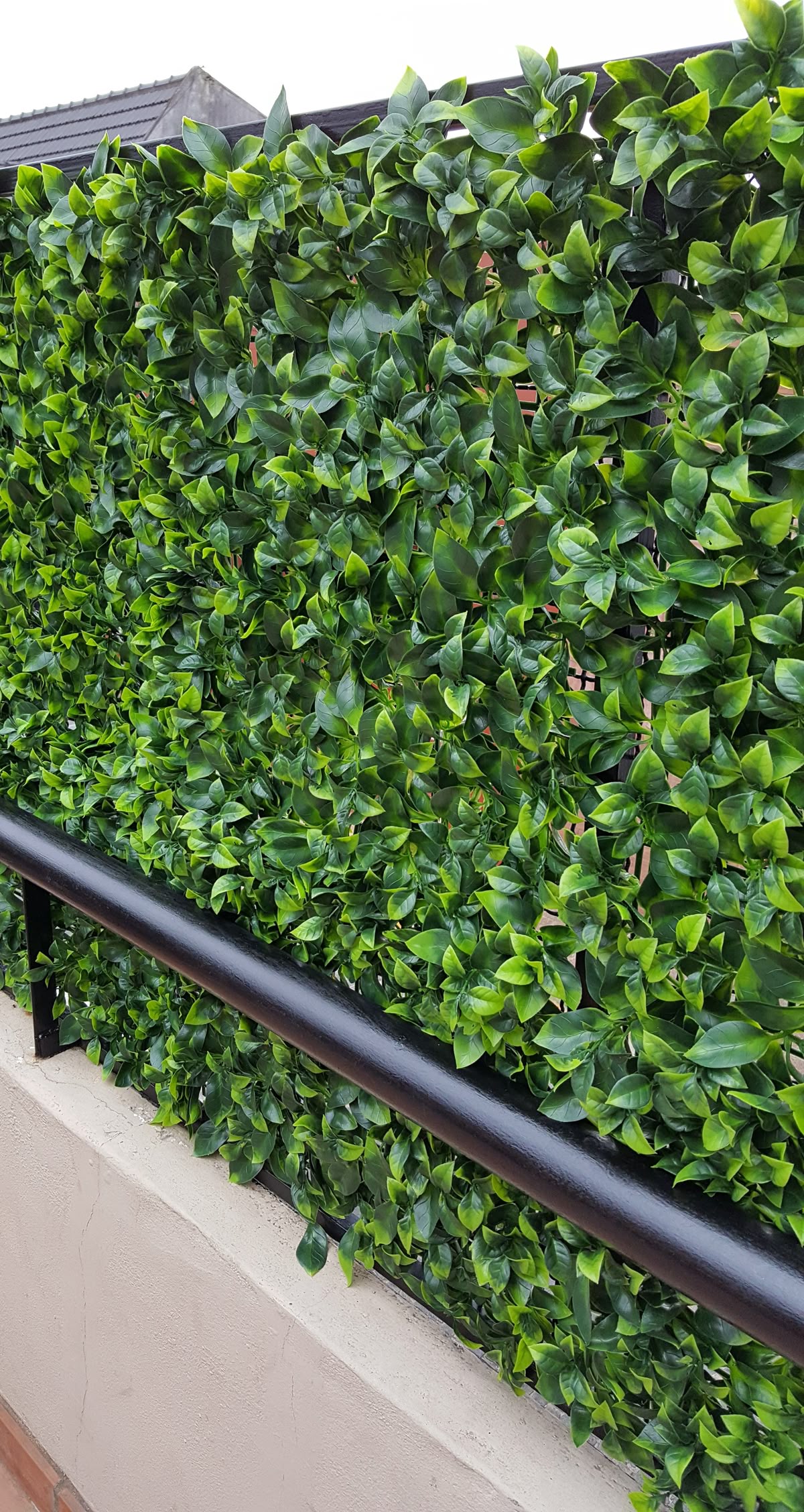 تركيب عشب جداري بالرياض