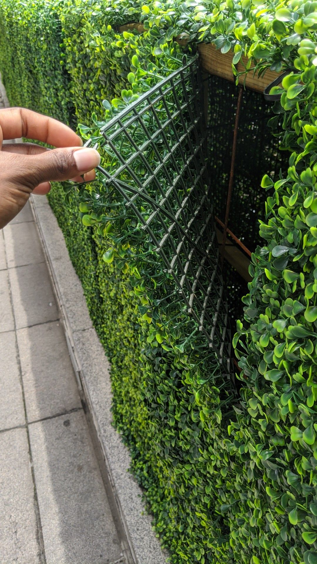 تركيب عشب جداري بالرياض