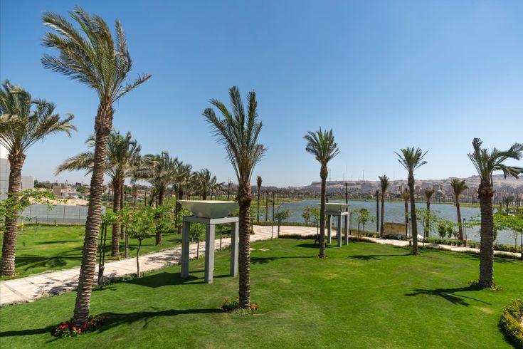 تكريب النخيل بالرياض