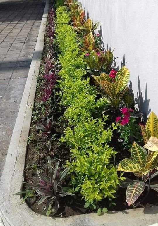 زراعة الورود والنباتات بالرياض