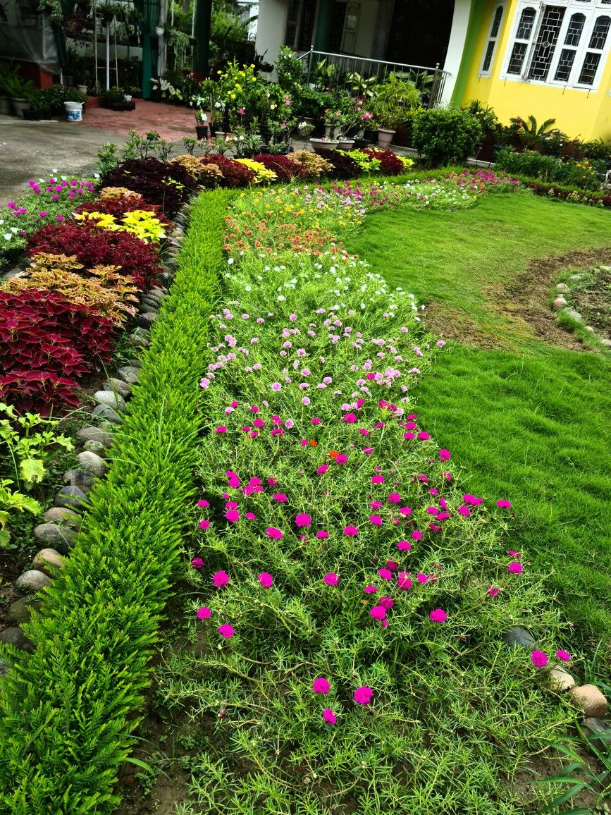 زراعة الورود والنباتات بالرياض