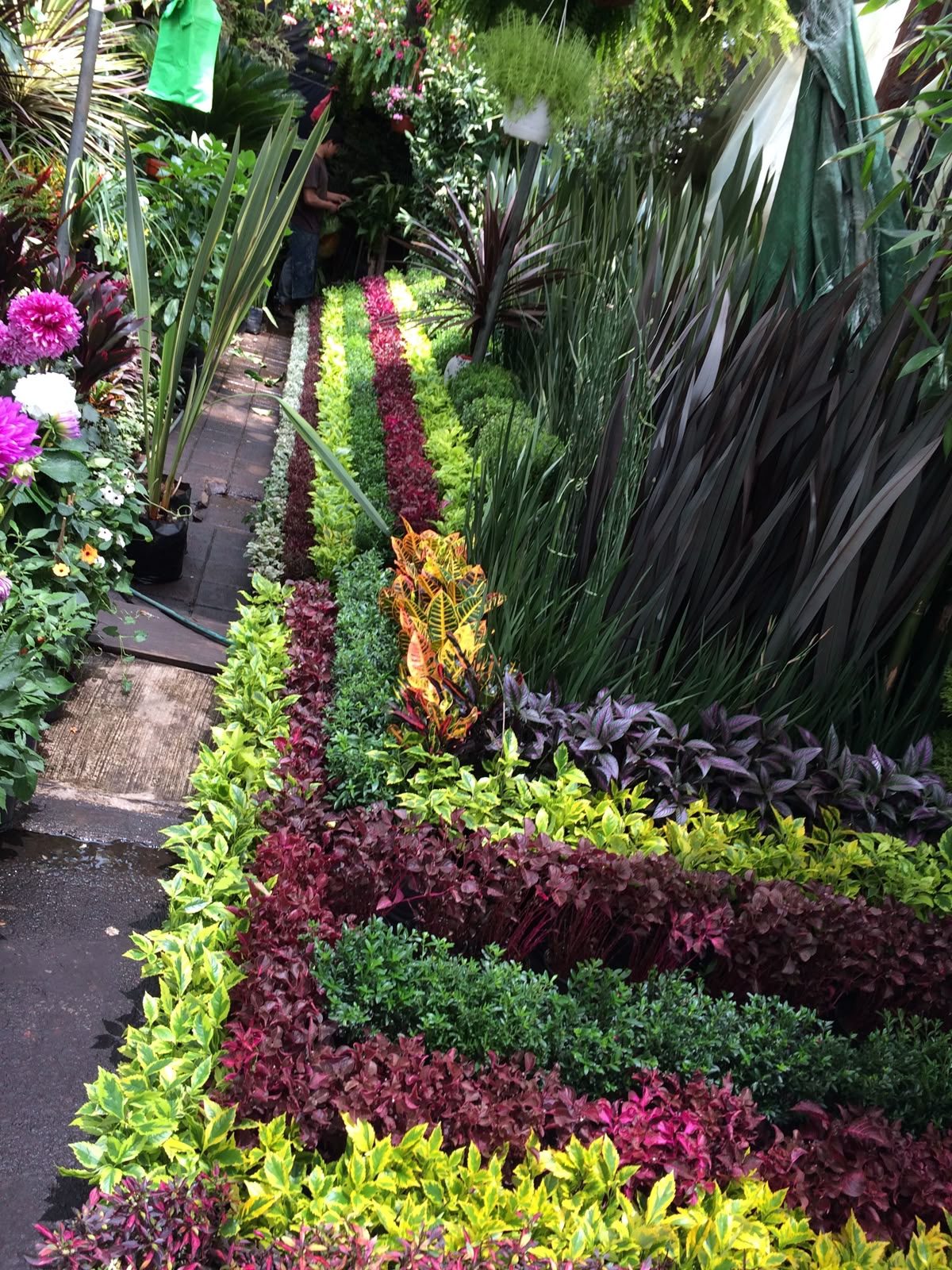 زراعة الورود والنباتات بالرياض