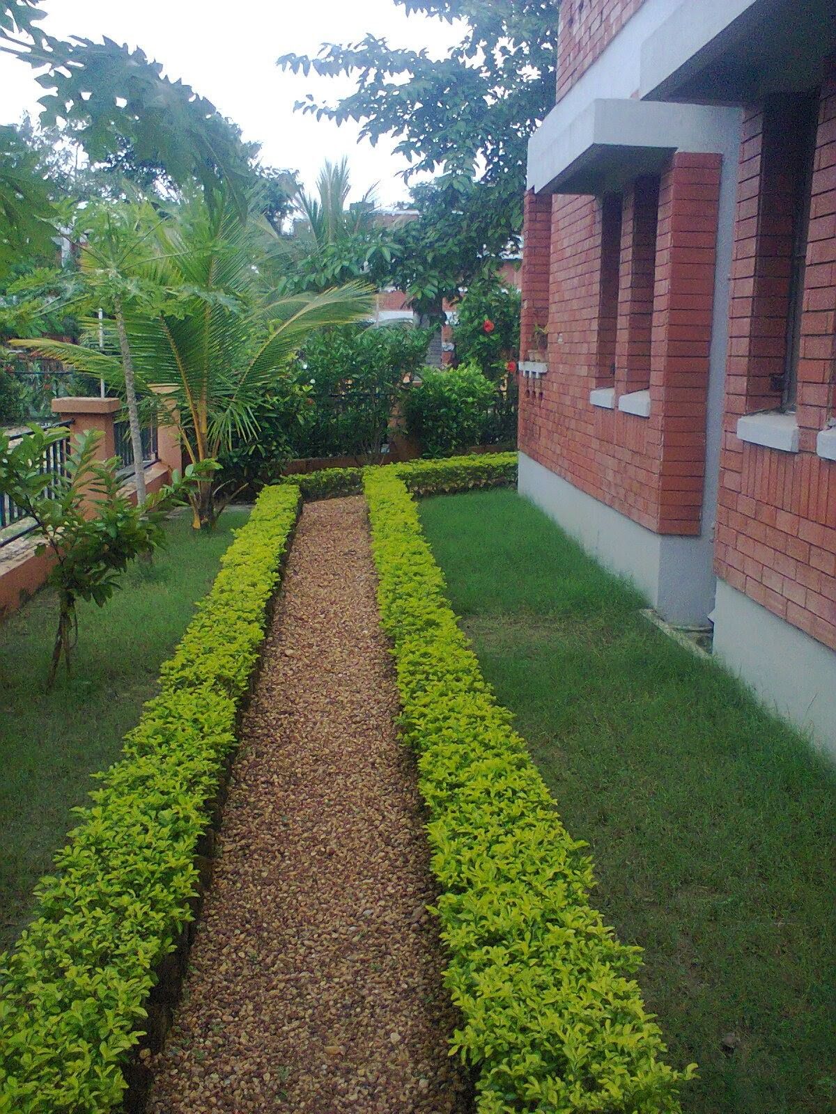 شركة تنسيق حدائق بجدة