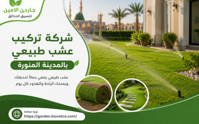 شركة تركيب عشب طبيعي بالمدينة المنورة