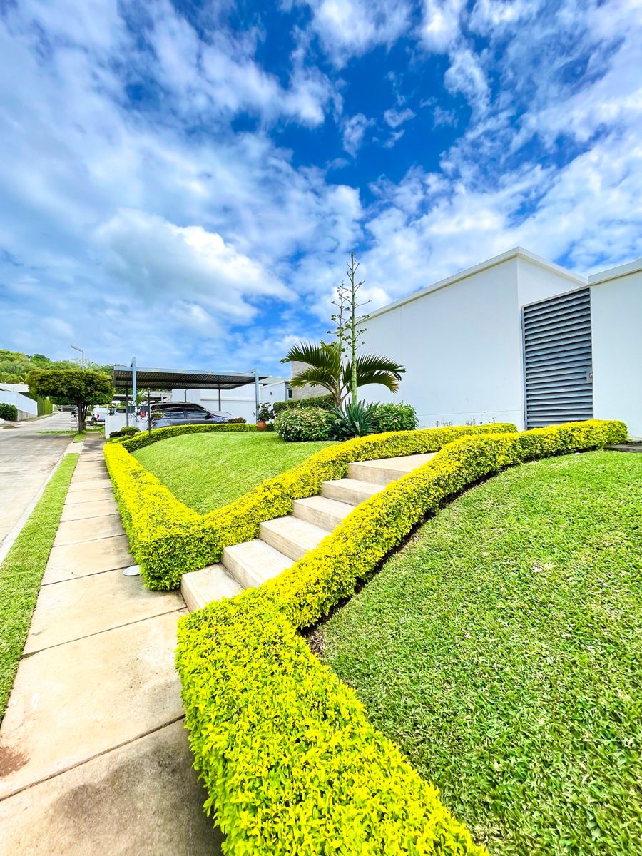 شركة تنسيق حدائق بجدة