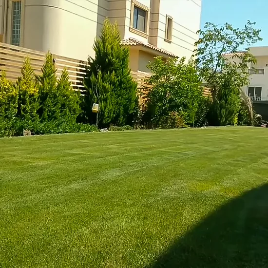 شركة تركيب عشب طبيعي بالمدينة المنورة