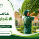 عامل قص الاشجار بالدرعية