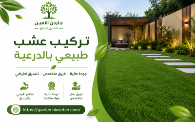 تركيب عشب طبيعي بالدرعية