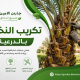تكريب النخيل بالدرعية