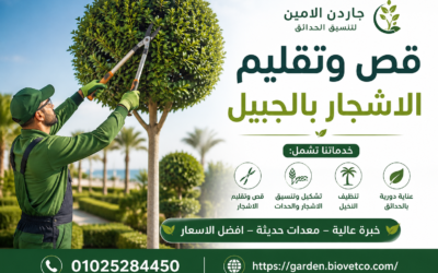 قص وتقليم الاشجار بالجبيل