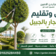 قص وتقليم الاشجار بالجبيل