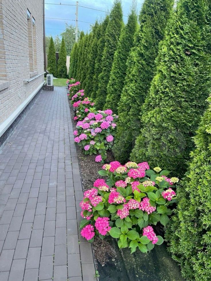 زراعة الورود والنباتات بجدة