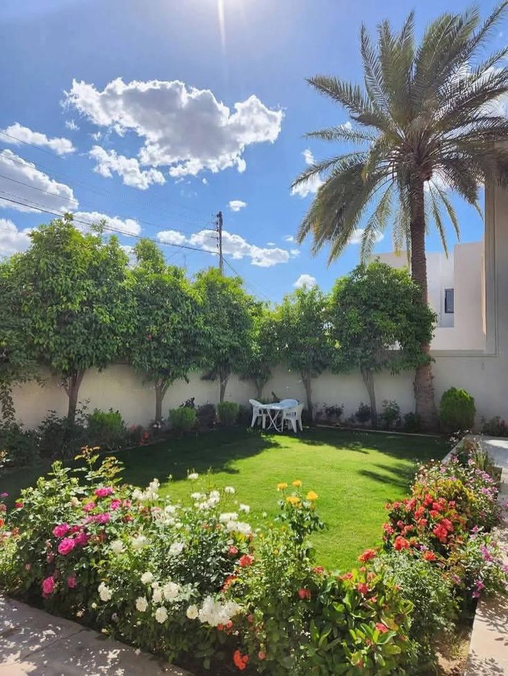 زراعة الورود والنباتات بجدة