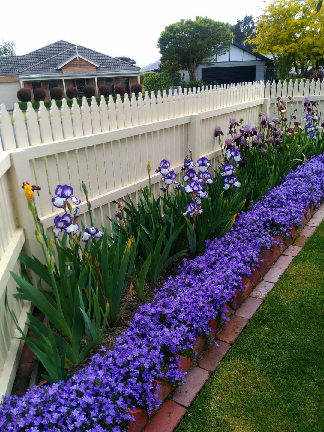 زراعة الورود والنباتات بجدة