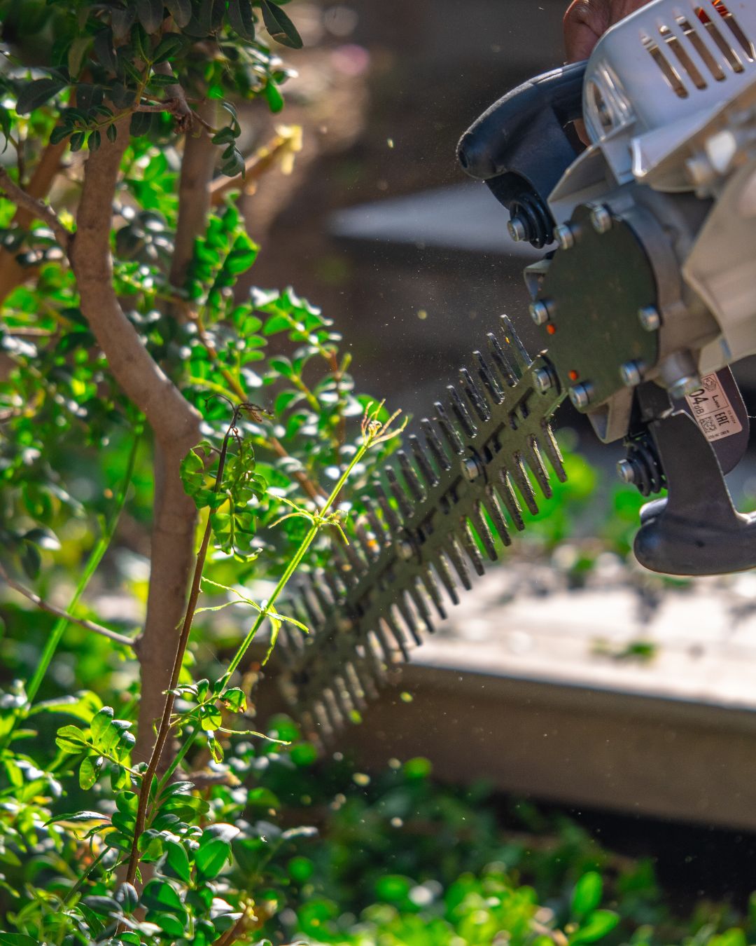 عامل قص الاشجار بجدة