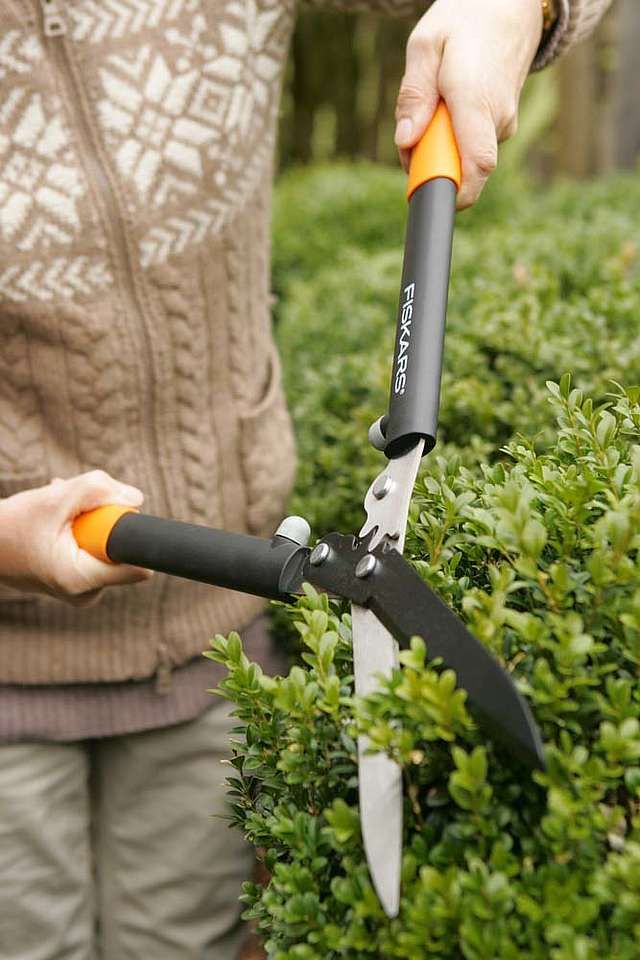 عامل قص الاشجار بجدة