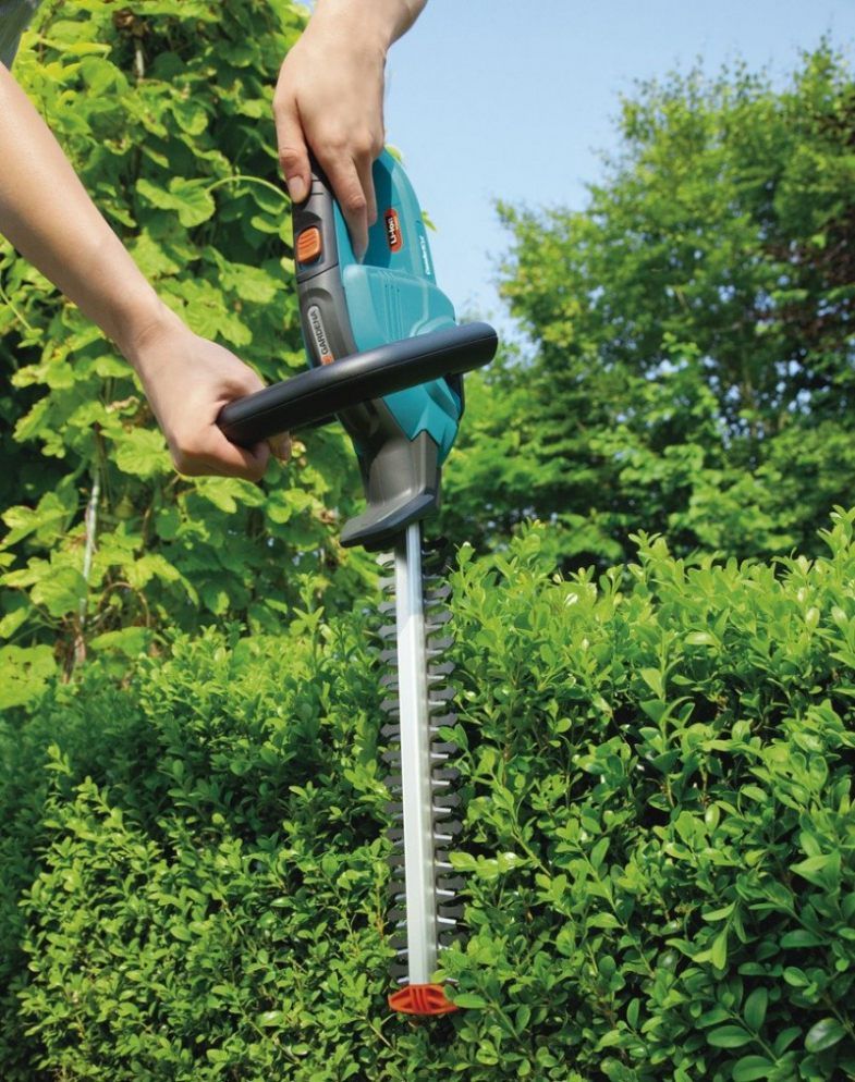 عامل قص الاشجار بجدة