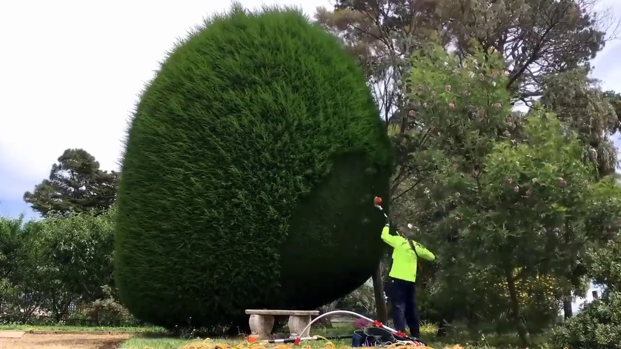 عامل قص الاشجار بمكة