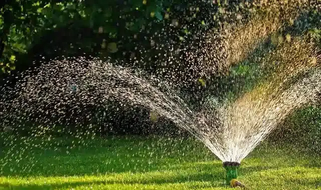 تمديد شبكات الري بالقطيف