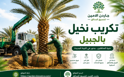 تكريب نخيل بالجبيل