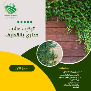 تركيب عشب جداري بالقطيف