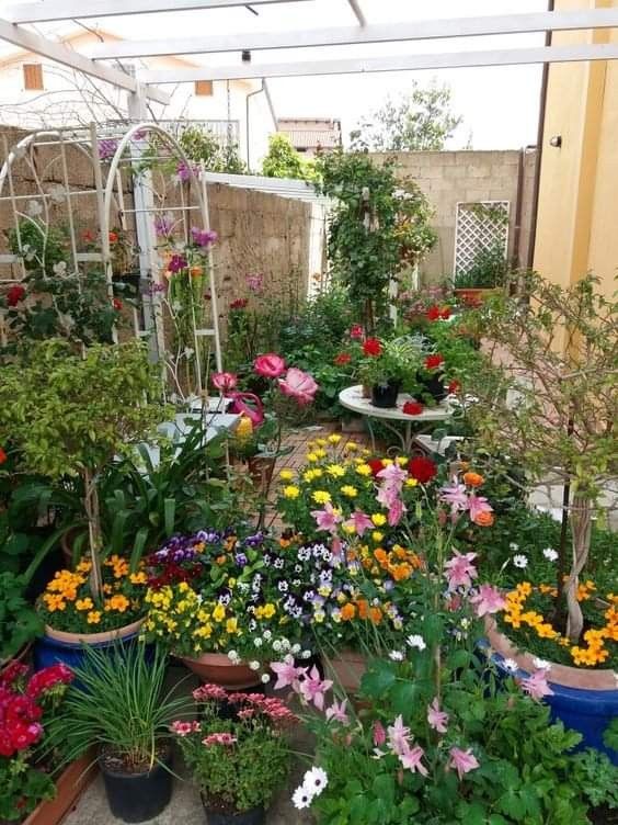 شركة زراعة النباتات والورود بالمدينة المنورة